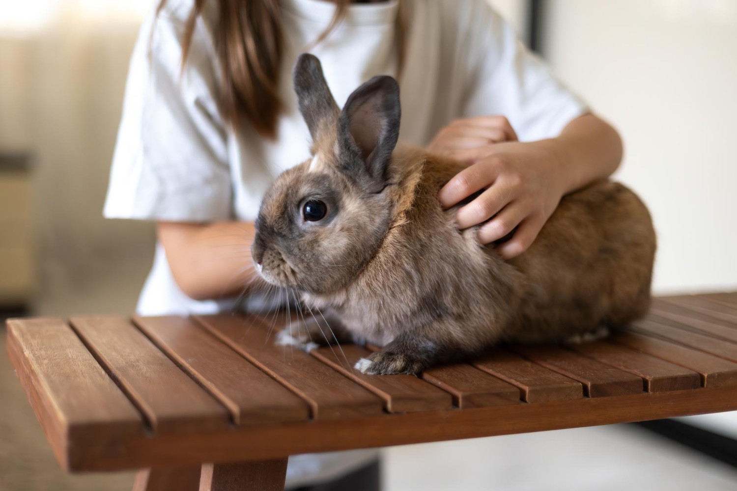 Animais exóticos e silvestres